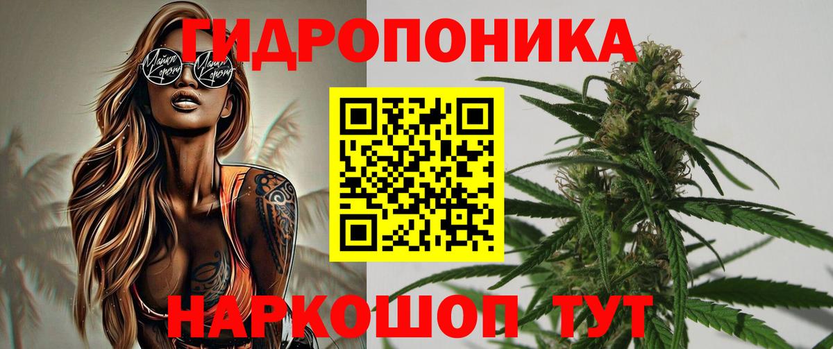 Конопля семена  Шишки марихуана гибрид  МАРИХУАНА OG Kush  Вход с VPN  Тихорецк  Каннабис SATIVA & INDICA 